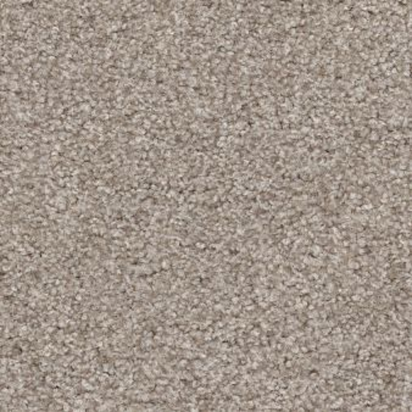 Shaw Floors Harmonious I Fossil Path SHAW