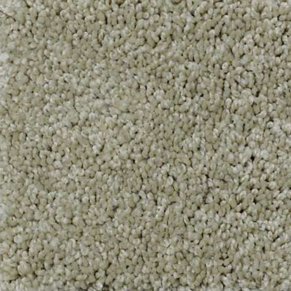 Shaw Floors My Choice I Cityscape SHAW