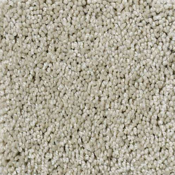 Shaw Floors My Choice II Cityscape SHAW