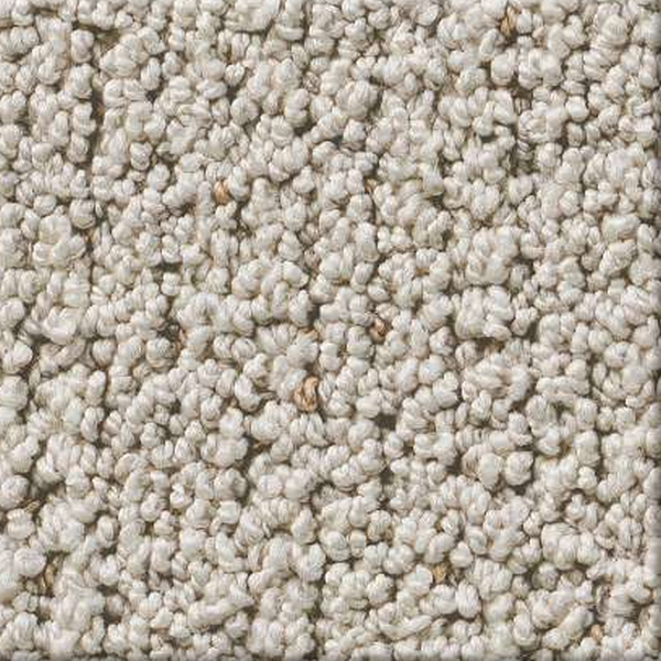 Shaw Floors Intricate Trace Natural SHAW