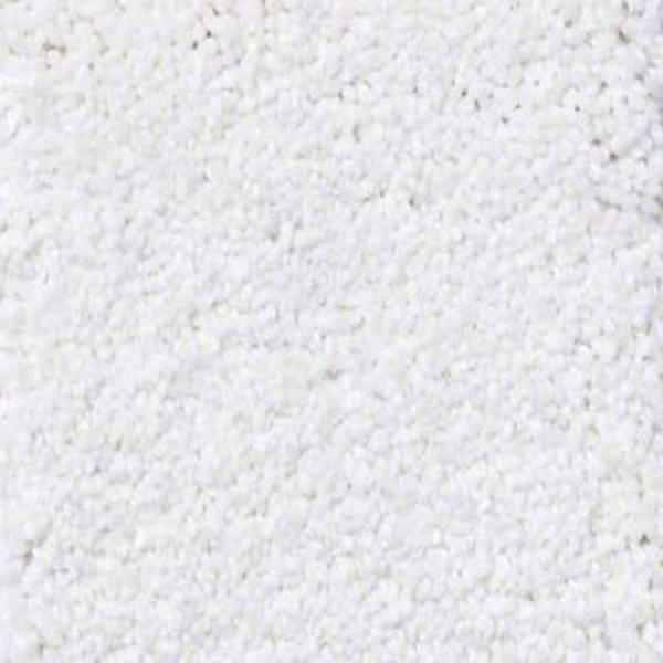 Shaw Floors Sandy Hollow Classic I Sweet Cream SHAW