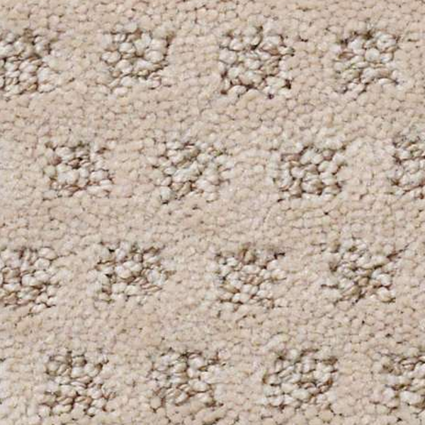 Tuftex My Expression Fawn SHAW