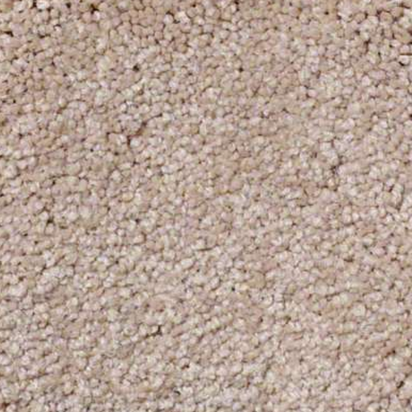 Shaw Floors Sandy Hollow Classic III Stucco SHAW