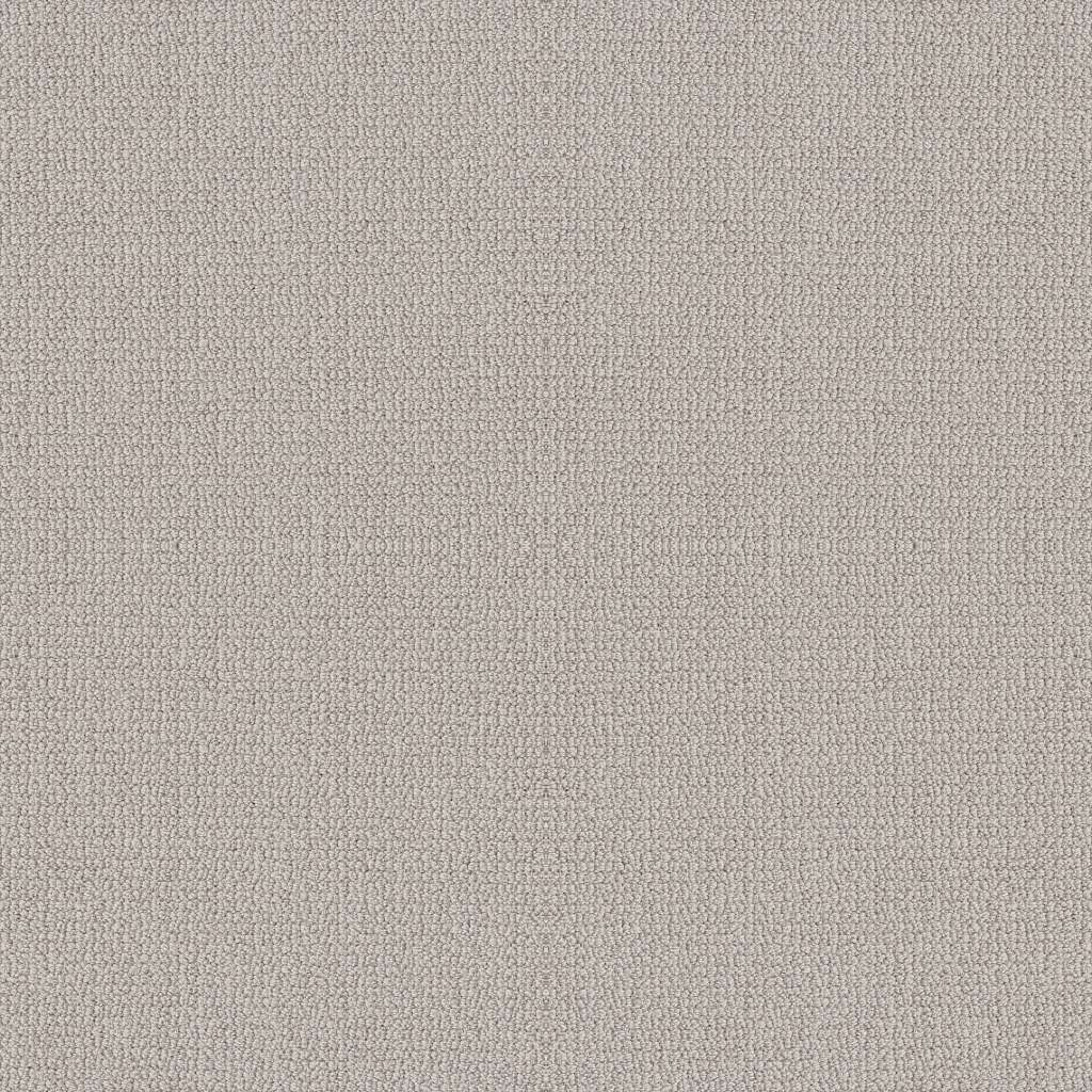 Shaw Floors Embellished Aircraft SHAW