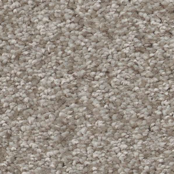 Shaw Floors You Got This I Chic Greige SHAW