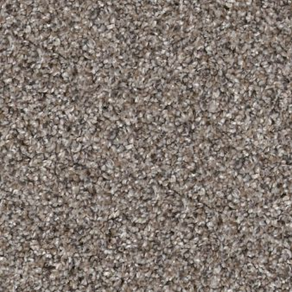 Shaw Floors Yes You Can I 15' Chic Greige SHAW