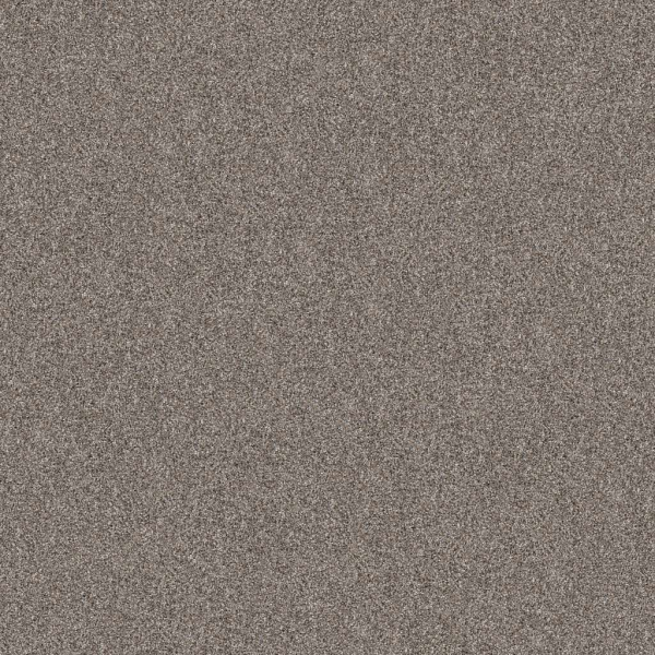 Shaw Floors Yes You Can III 12' Chic Greige SHAW