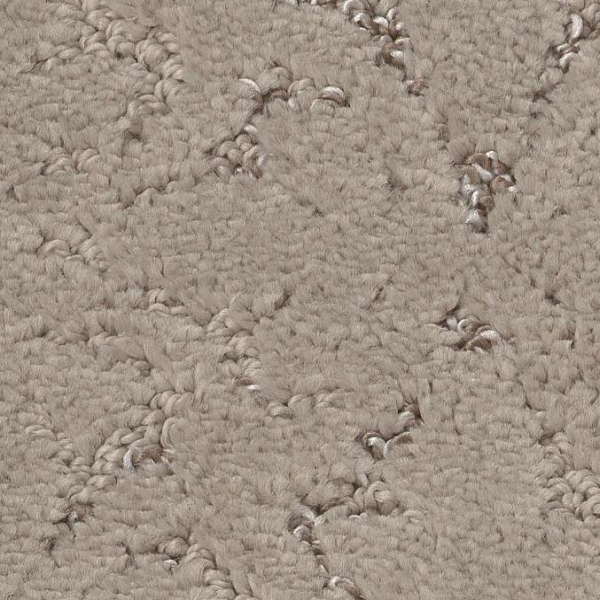 Shaw Floors Light Impressions Chic Greige SHAW