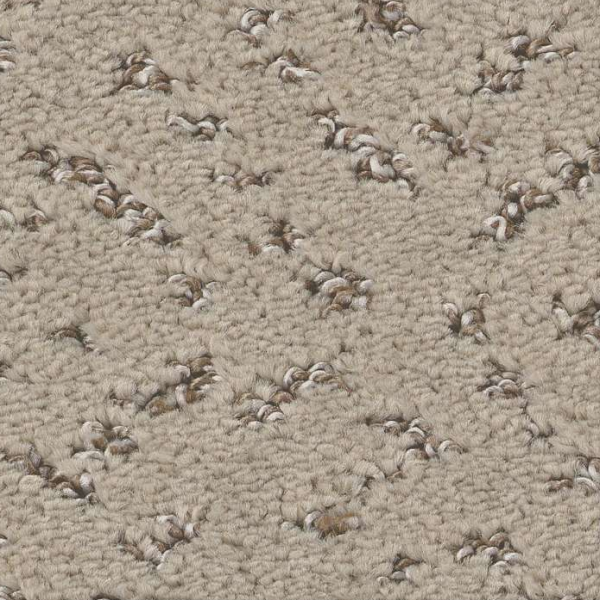 Shaw Floors Elaborate Artifact Chic Greige SHAW