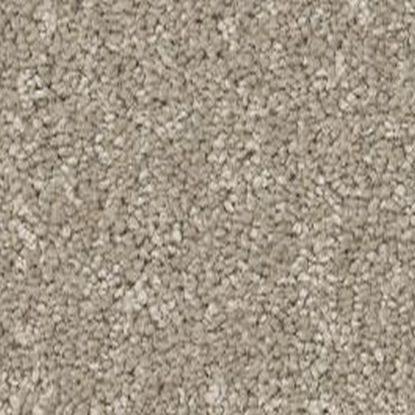 Shaw Floors Way To Go I Desert Khaki SHAW