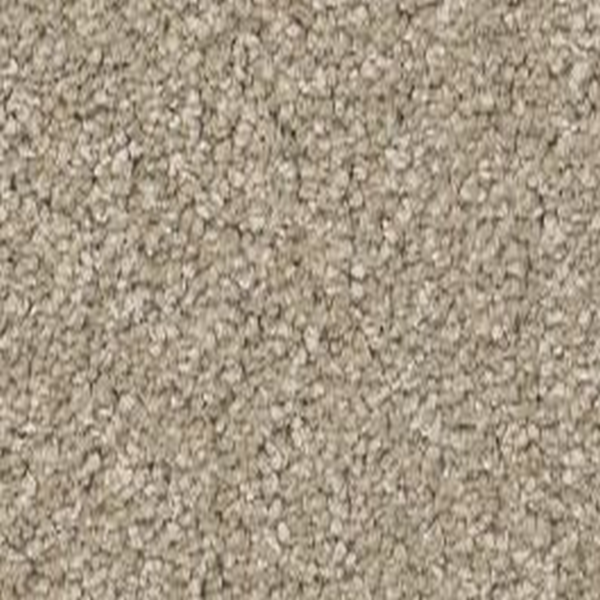 Shaw Floors Way To Go II Desert Khaki SHAW