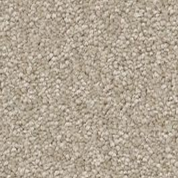 Shaw Floors Way To Go I Adobe Sand SHAW