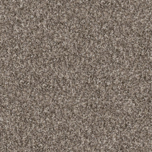 Shaw Floors Yes You Can II 12' Soft Sense SHAW