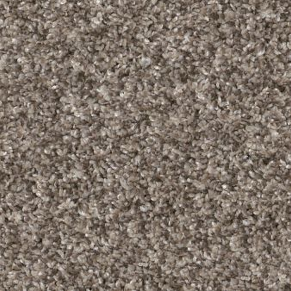 Shaw Floors Yes You Can I 15' Soft Sense SHAW