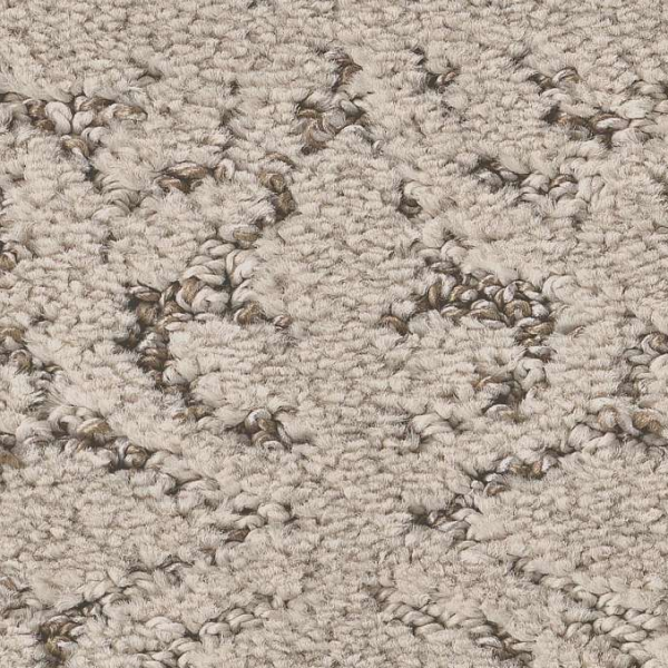 Shaw Floors Light Impressions Soft Sense SHAW