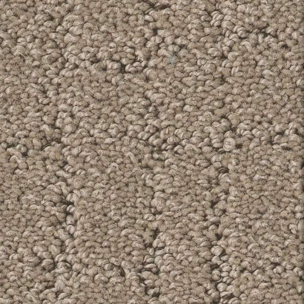 Shaw Floors Block Party Cameo SHAW