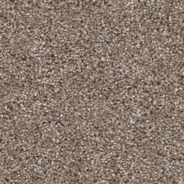 Shaw Floors Yes You Can II 15' Cameo SHAW