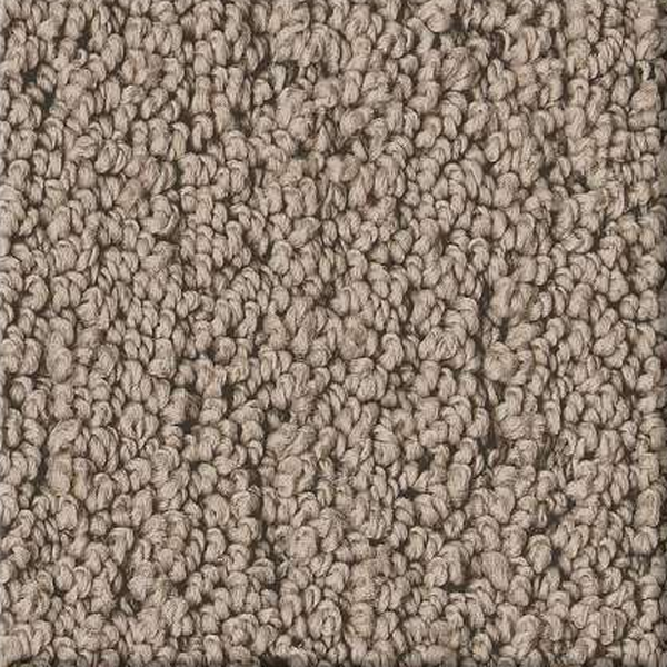 Shaw Floors Intricate Trace Cameo SHAW