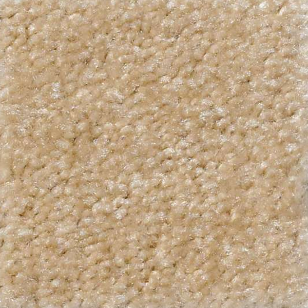 Shaw Floors Zipp Cane SHAW