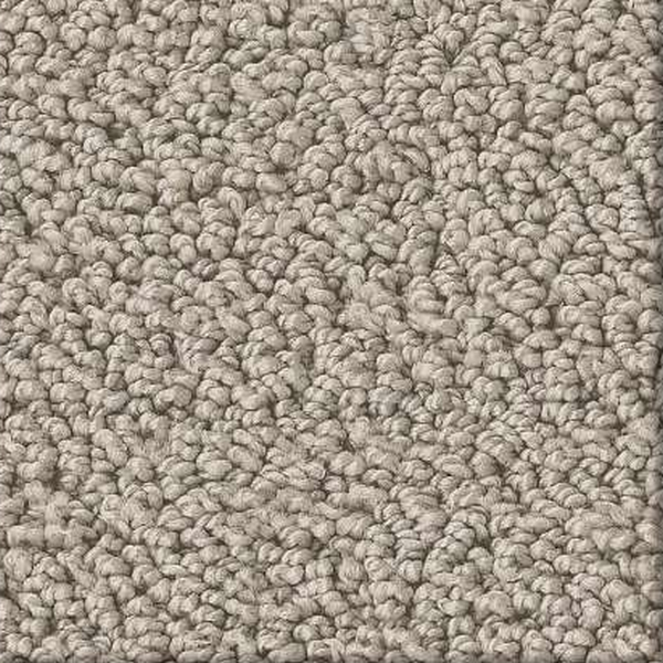 Shaw Floors Intricate Trace Sculpture SHAW