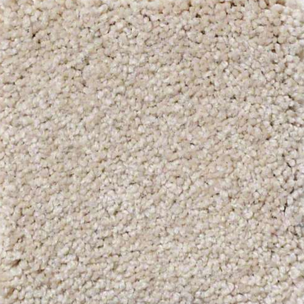 Philadelphia Commercial Everyday Comfort (S) Popcorn Shaw