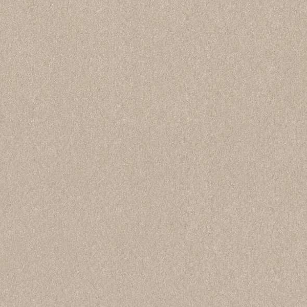 Shaw Floors Hard At Play II 12' Warm Light SHAW