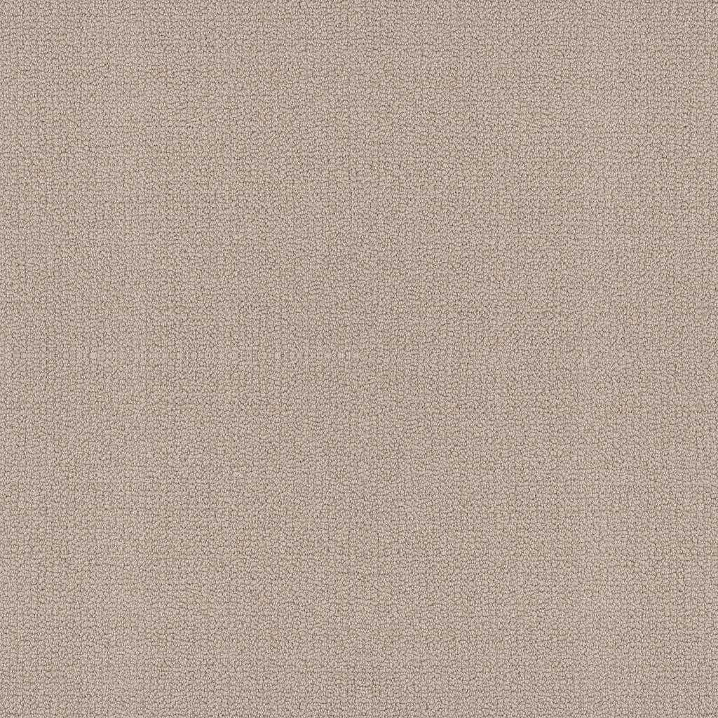 Shaw Floors Embellished Malibu Dune SHAW