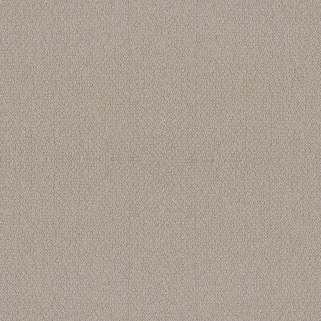 Shaw Floors Embellished Birch SHAW