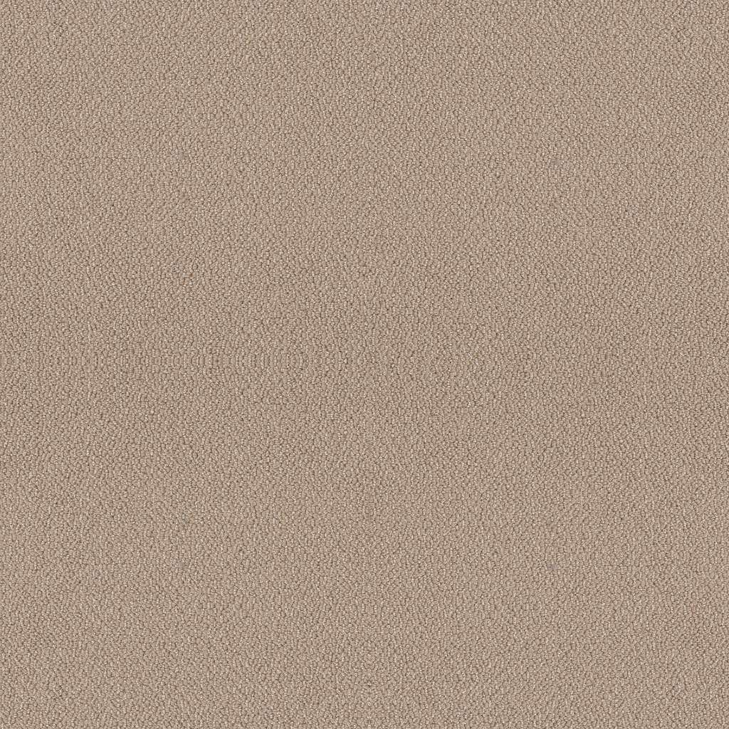 Shaw Floors Embellished Thatched Roof SHAW