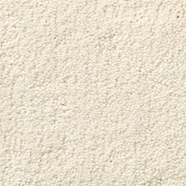 Tuftex Perfect Choice Soft Chamois SHAW