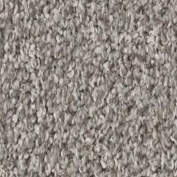 Shaw Floors Shake It Up (T) 13 Ornamental Gate SHAW