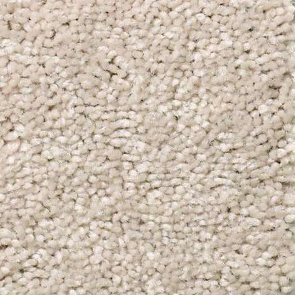 Shaw Floors Cabana Life S Sugar Cook SHAW