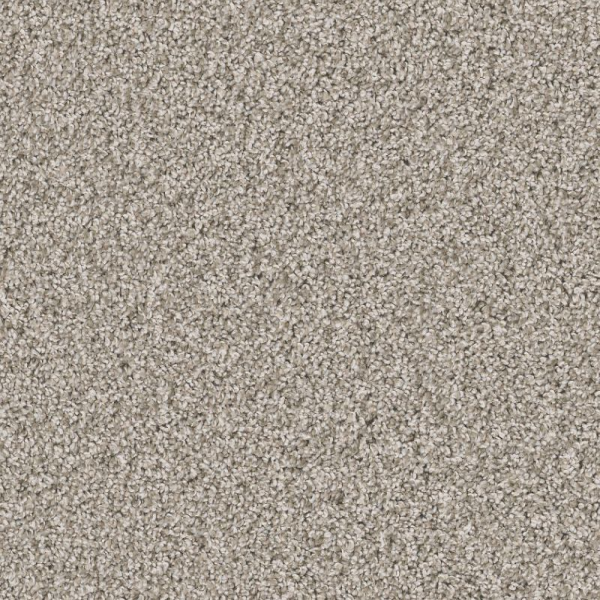 Shaw Floors Remixed Classic Canoe SHAW