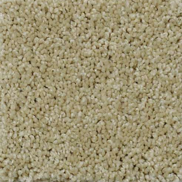 Shaw Floors My Choice III Beach Walk SHAW