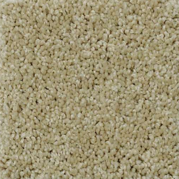 Shaw Floors My Choice I Beach Walk SHAW