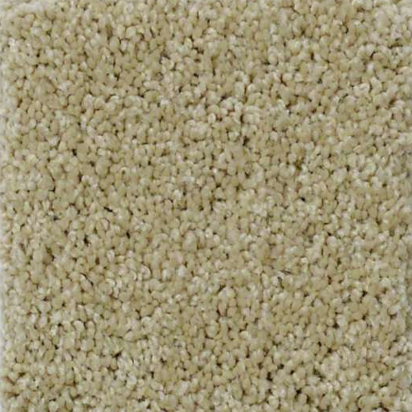 Shaw Floors Enduring Comfort III Beach Walk SHAW