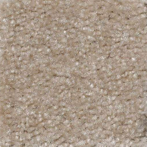 Shaw Floors Zipp Del Sol SHAW