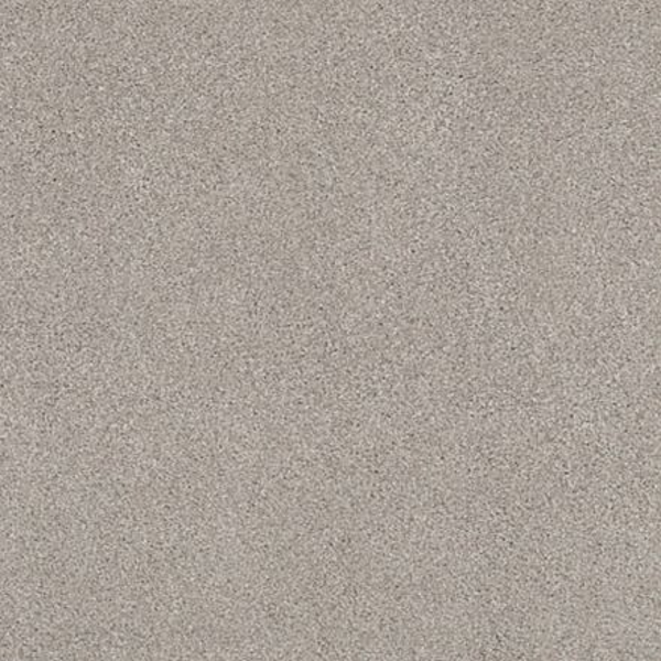 Tuftex Cozy Harbor II Baltic Stone SHAW