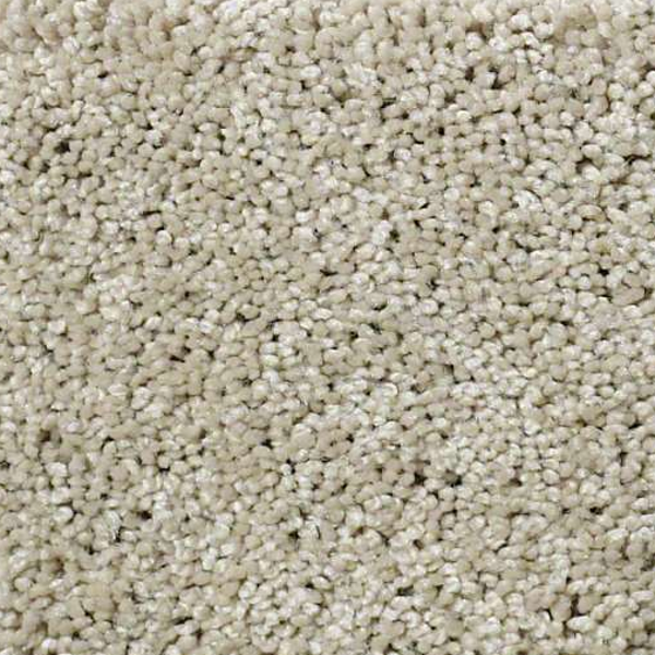 Shaw Floors Enduring Comfort II Stucco SHAW