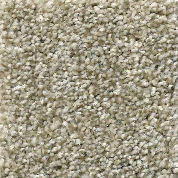 Shaw Floors Cabana Life Tweed Pebble Creek SHAW