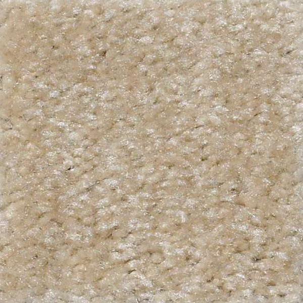 Shaw Floors Zipp Fir Board SHAW