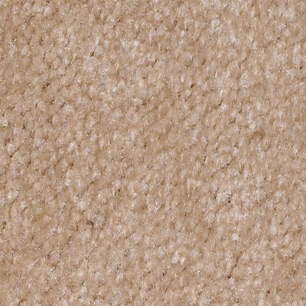 Shaw Floors XV071 Biscuit SHAW