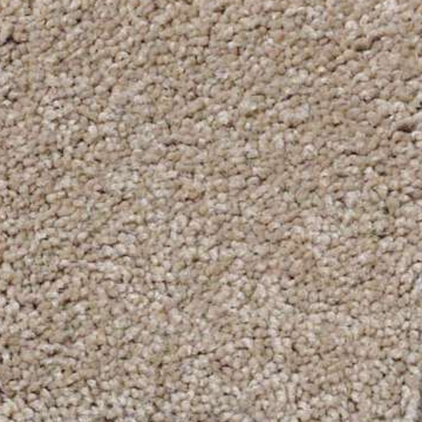 Shaw Floors Magic At Last II 12' Shell SHAW