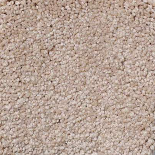 Shaw Floors Magic At Last IV 15' Antique White SHAW