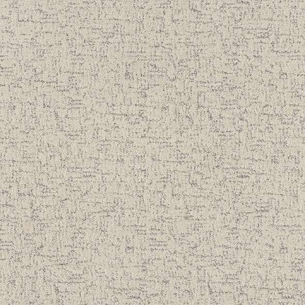 Shaw Floors Run Free Snowfall SHAW