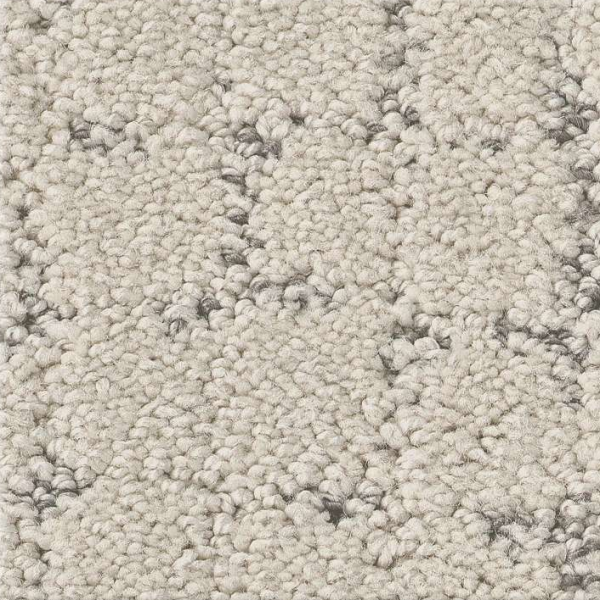 Shaw Floors Block Party Snowfall SHAW