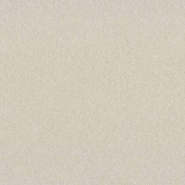 Shaw Floors Hard At Play I 15' Snowfall SHAW