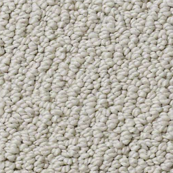 Shaw Floors Truly Relaxed Loop Textured Canvas SHAW