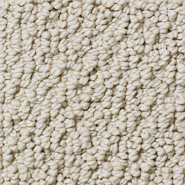 Shaw Floors Truly Relaxed Loop Bare Essence SHAW