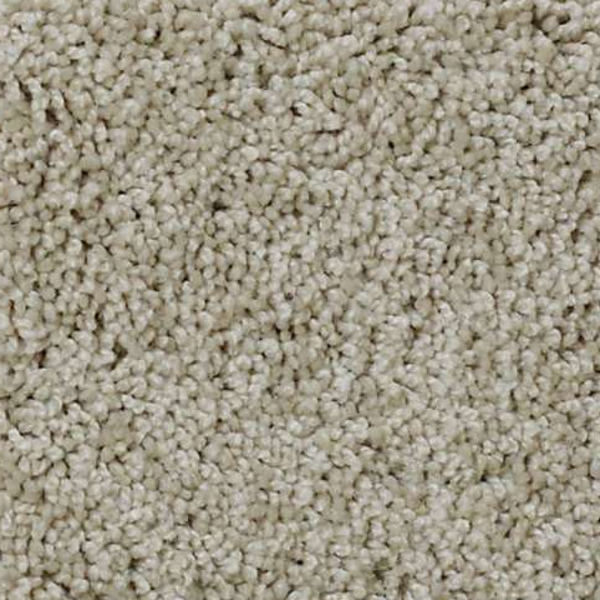 Shaw Floors My Choice II Bare Essence SHAW